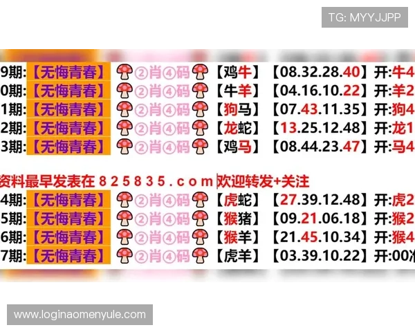 澳门开奖中文站最新2024年度免费资料一站掌握全部开奖结果查询